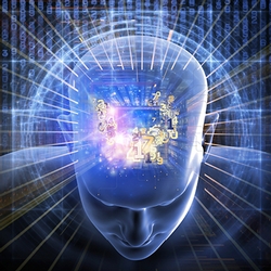 Reinvent Performance Management through Neuroscience Seminar